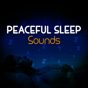 ดาวน์โหลดและฟังเพลง Become Mindful พร้อมเนื้อเพลงจาก Sleep Sounds