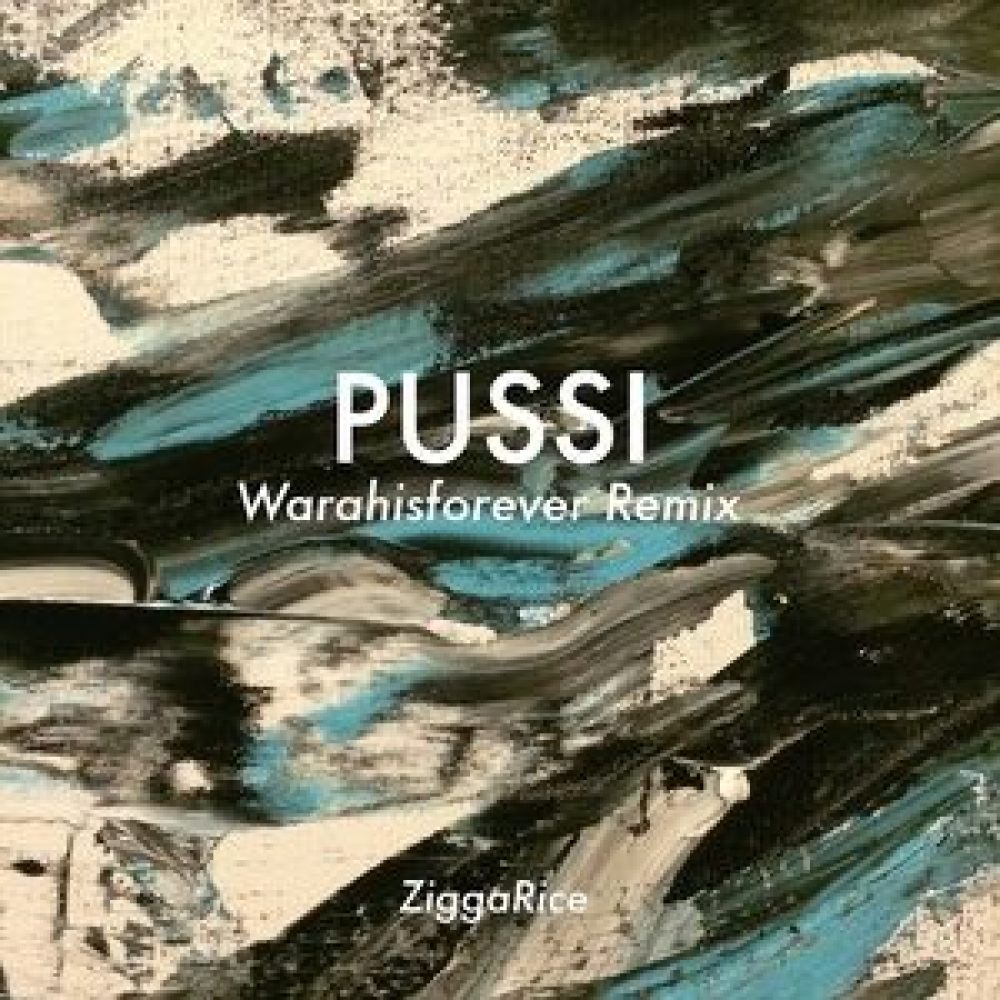 Pussi (Warahisforever Remix) (Warahisforever Remix|Explicit)