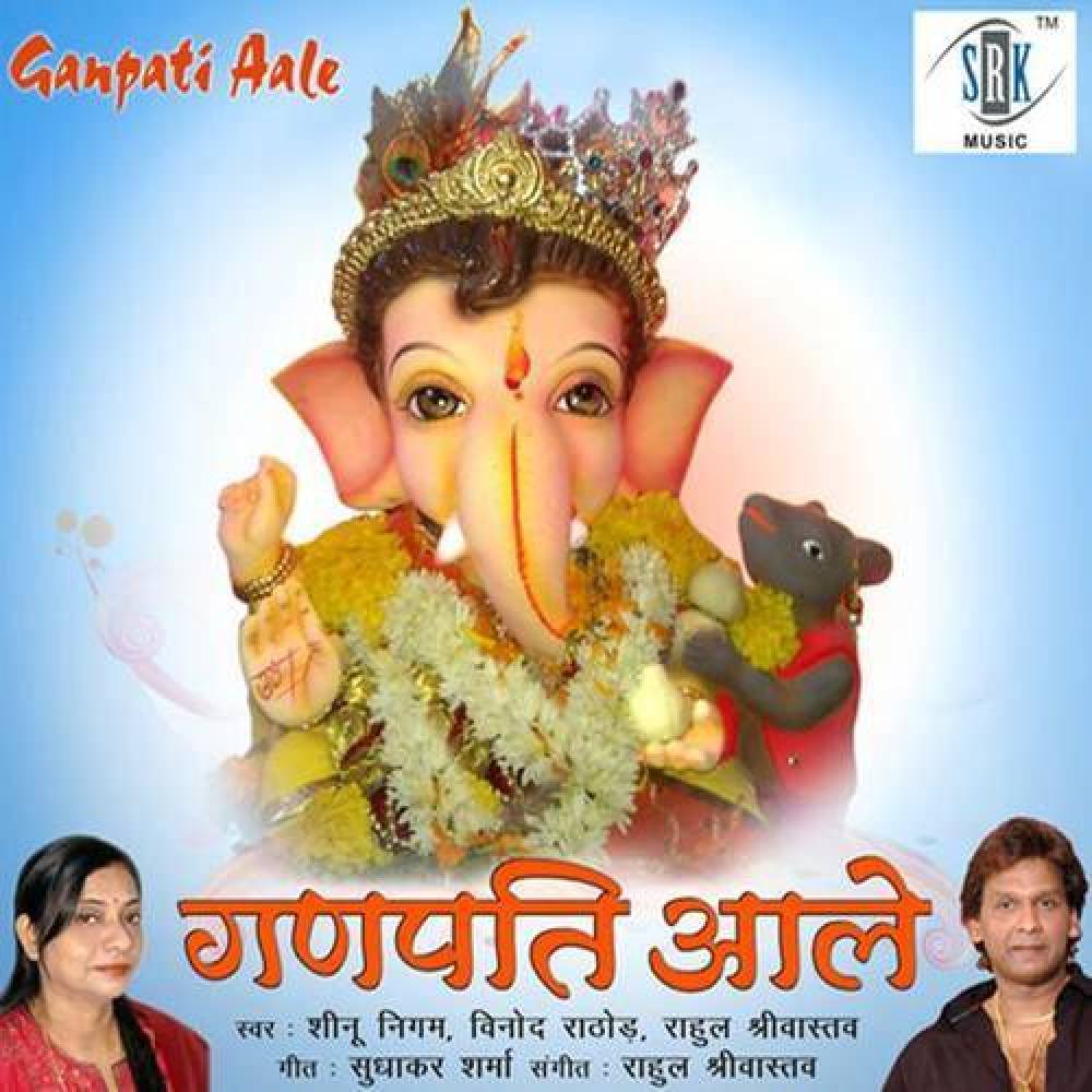 Sheenu Nigam