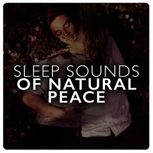 收聽Sleep Songs with Nature Sounds的Birds at the Water's Edge歌詞歌曲