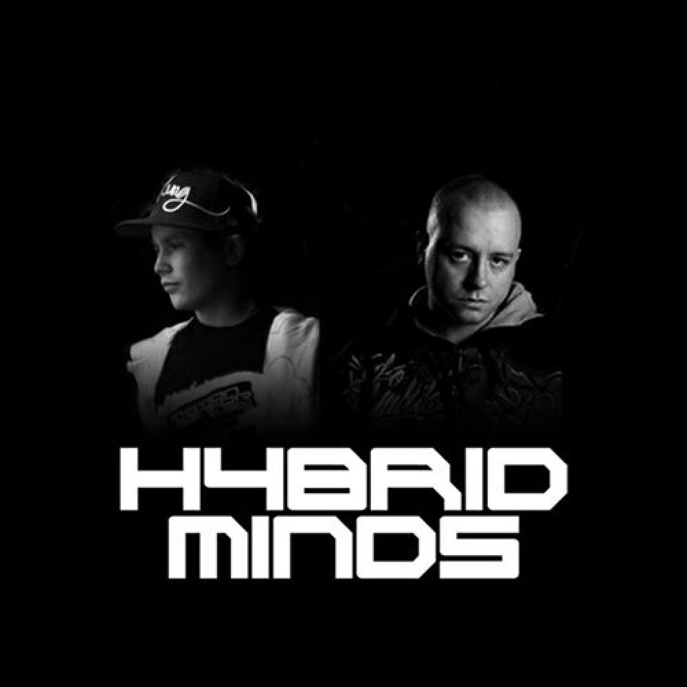 Hybrid Minds