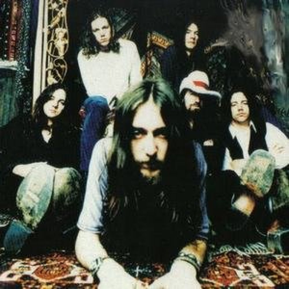 The Black Crows