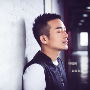 Dengarkan lagu 如果有一天 nyanyian 张智勇 dengan lirik