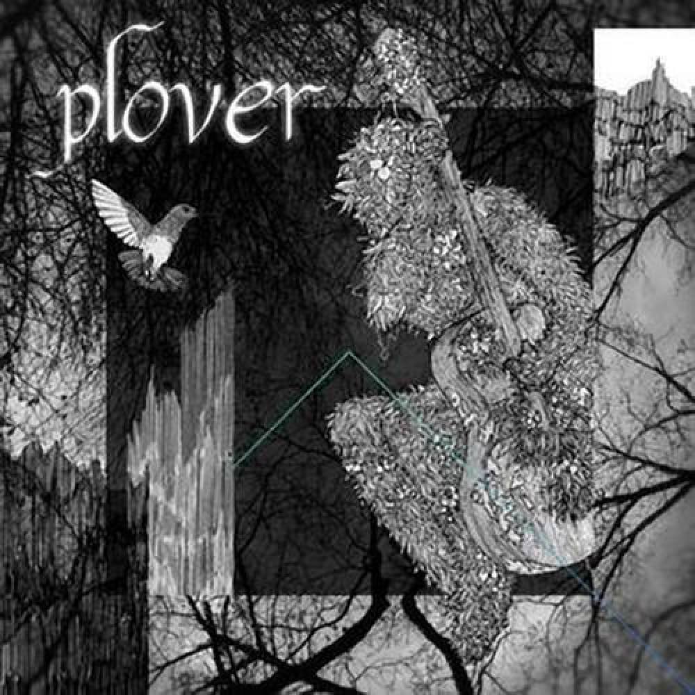 Plover