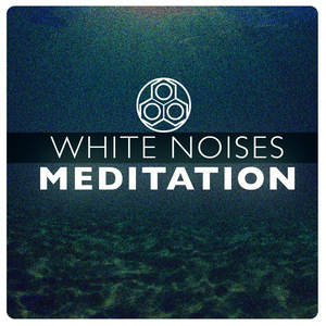收聽White Noise Meditation的White Noise: Spring Falls歌詞歌曲