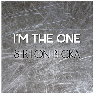 收聽Serton Becka的Gagnam Style (Dance Remix)歌詞歌曲