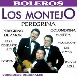 Los Montejo ดาวน์โหลดและฟังเพลงฮิตจาก Los Montejo