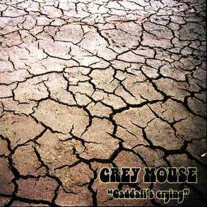 收聽Grey Mouse的Bottom歌詞歌曲