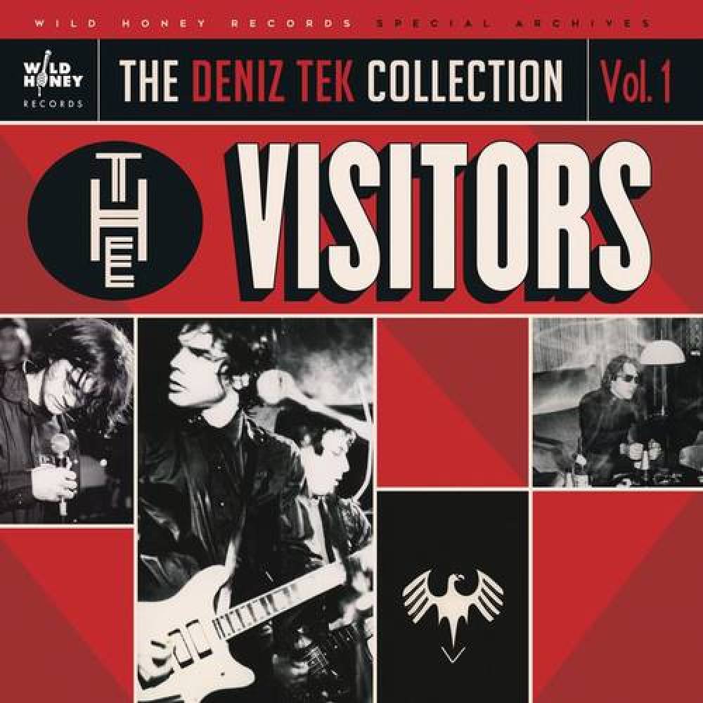The Visitors