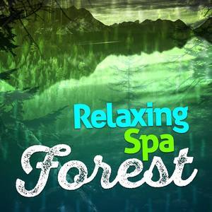 收聽Forest Sounds Relaxing Spa Music Singing Birds的Afternoon Bird Chorus歌詞歌曲