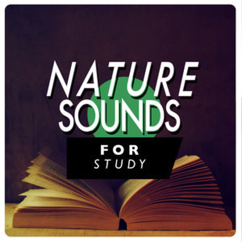 Wood Song