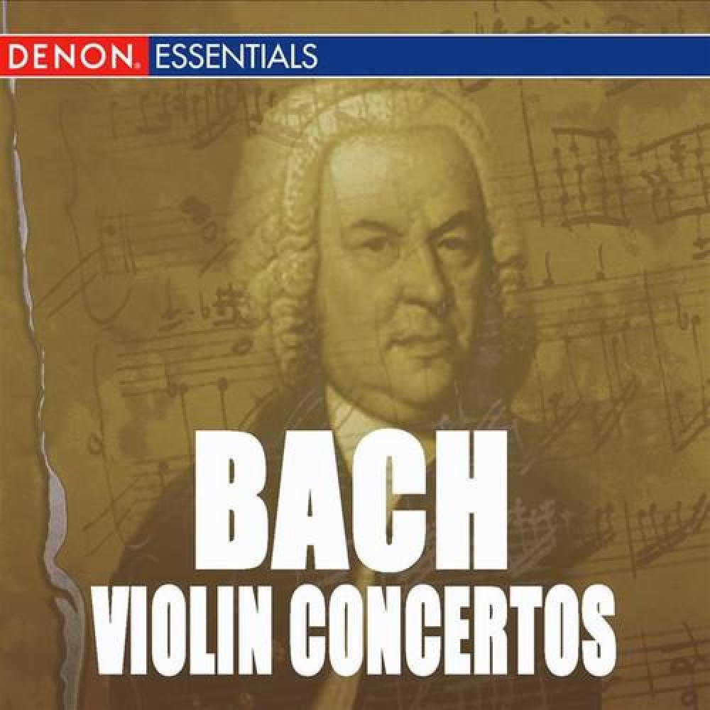 Concerto for Two Violins and Strings in D Minor, BWV1043: Largo ma non tanto