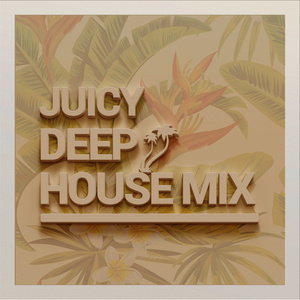 อัลบัม Juicy Deep House Mix ศิลปิน Deep House Beats