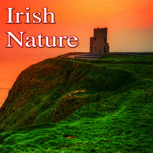 收聽Nature Lounge的Ireland Calling with Waterfall歌詞歌曲