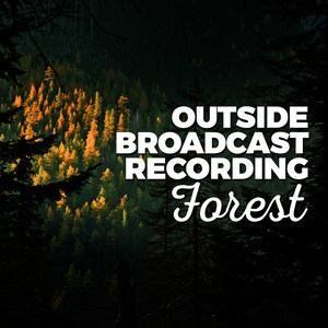 收聽Outside Broadcast Recordings的Birds at the Water's Edge歌詞歌曲