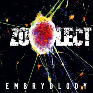 ดาวน์โหลดและฟังเพลง Milkshake (Live) พร้อมเนื้อเพลงจาก Zoolect