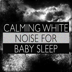 收聽White Noise For Baby Sleep的White Noise: Waves of Noise歌詞歌曲