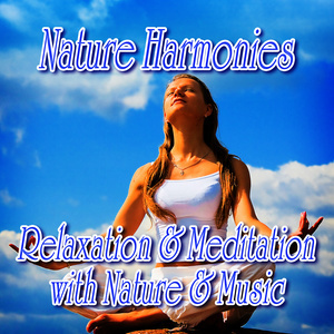 收聽Nature Sound的Relaxing Lakeshore Nature Music for Spiritual Wellness歌詞歌曲