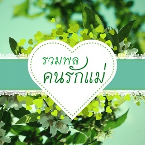 ดาวน์โหลดและฟังเพลง แม่เชื่อก็พอ พร้อมเนื้อเพลงจาก Various Artists (Metro Hits)