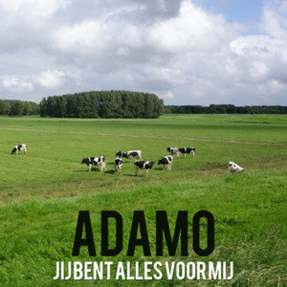 Jij Bent Alles Voor Mij