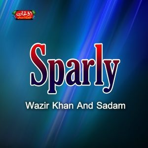 Album Sparly from Wazir Khan