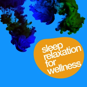 ดาวน์โหลดและฟังเพลง Vibhuti Pada พร้อมเนื้อเพลงจาก Sleep Relaxation