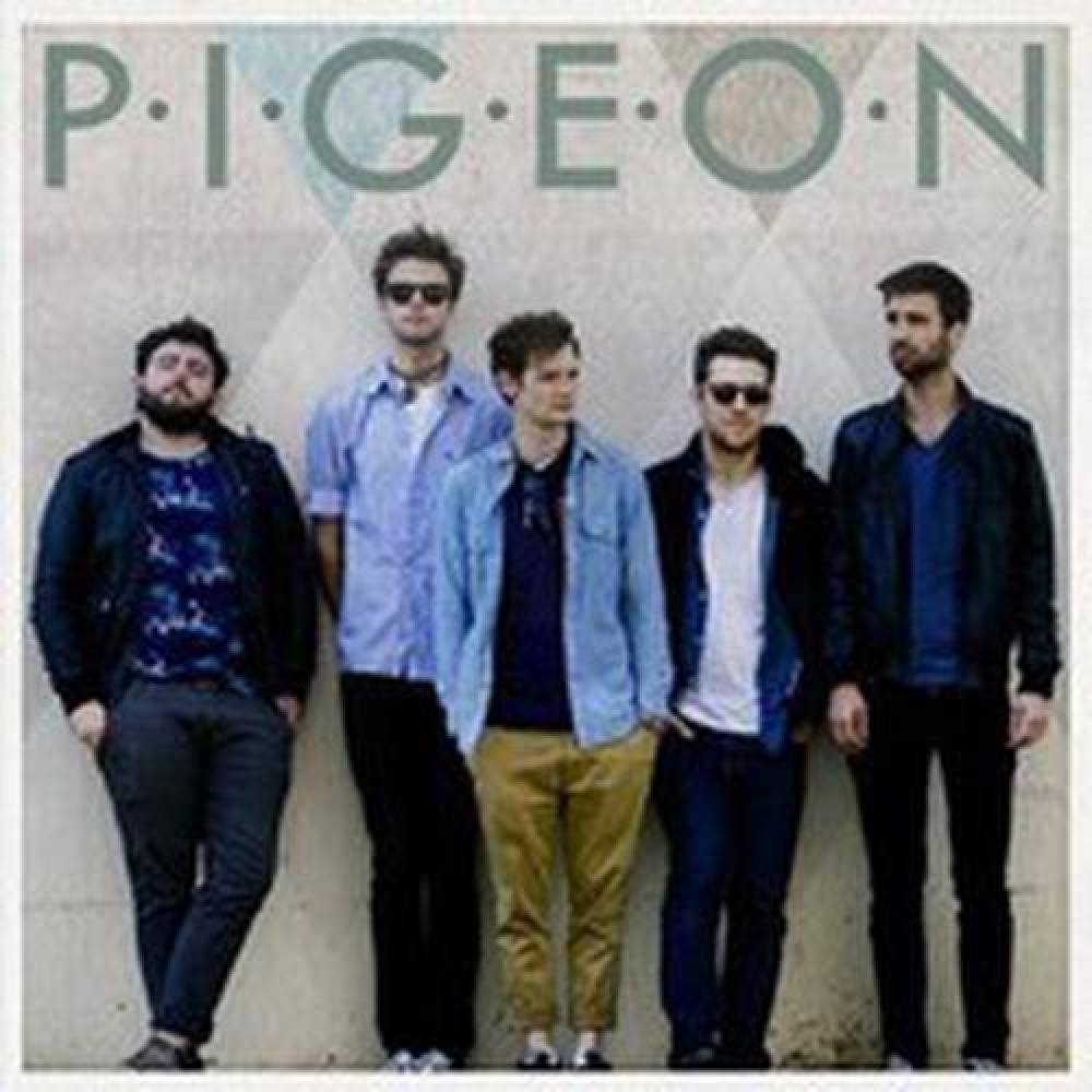 Pigeon