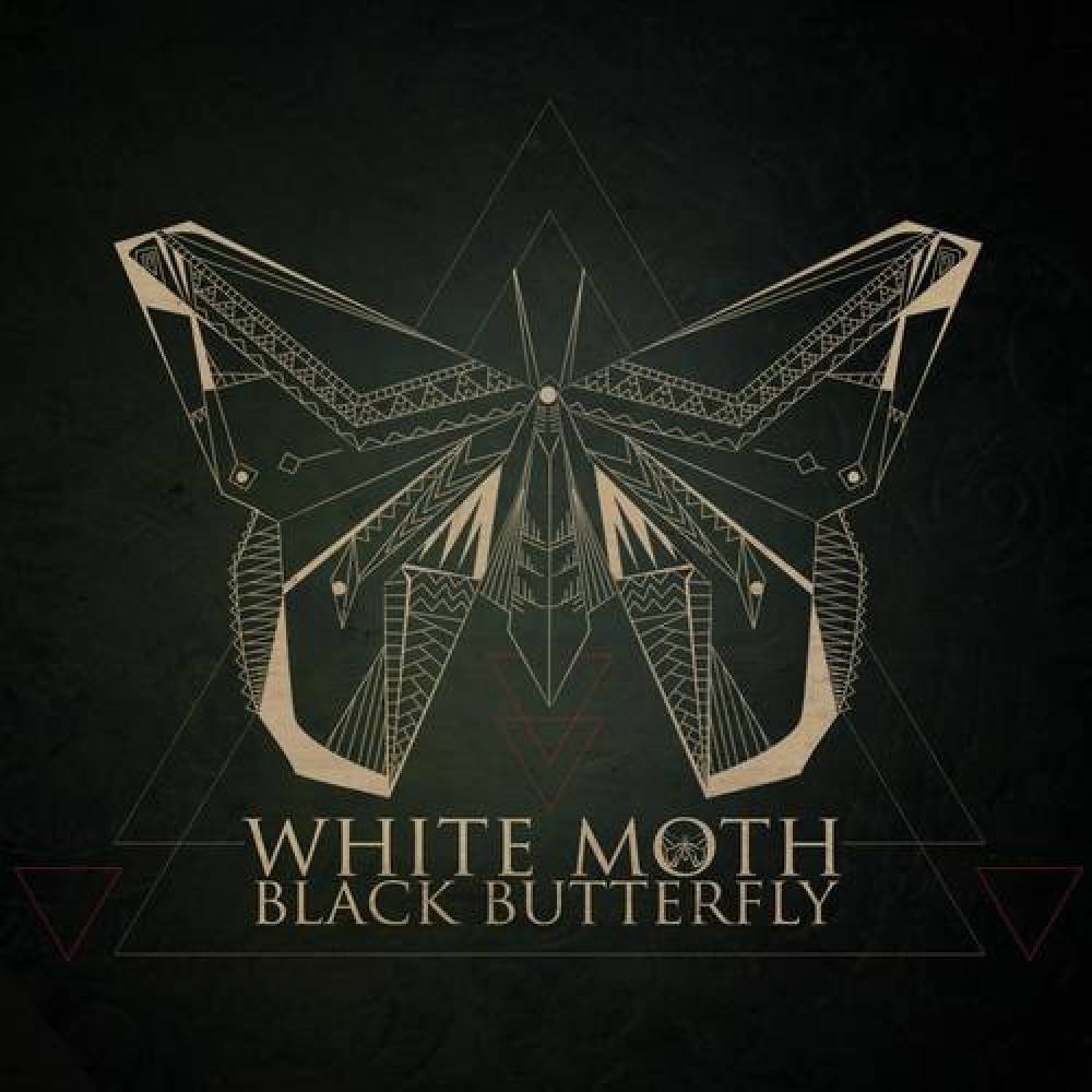 White Moth Black Butterfly