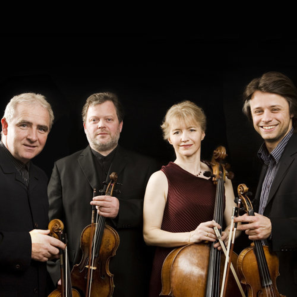 Quartetto In Re Maggiore: Allegro moderato