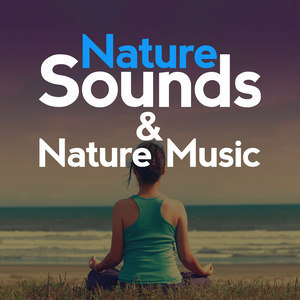 收聽Nature Sounds Nature Music的Forest Water Birds歌詞歌曲