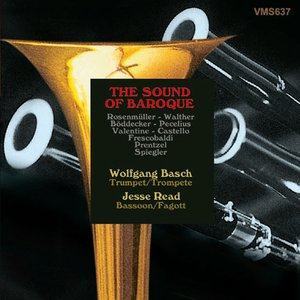 Listen to Sonata for Clarino, Bassoon and Basso Continuo in C Major: II. Allegro in C Major: II. Allegro song with lyrics from Wolfgang Basch