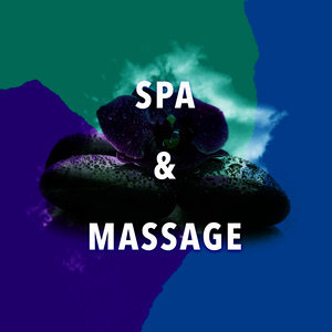 收聽Nature Spa Meditation Music的Alive with Birds歌詞歌曲