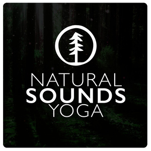 收聽Yoga Nature Sounds的By the Stream歌詞歌曲