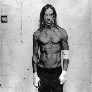 Iggy Pop ดาวน์โหลดและฟังเพลงฮิตจาก Iggy Pop