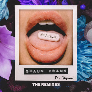 收聽Shaun Frank的No Future (Boxinlion Remix)歌詞歌曲