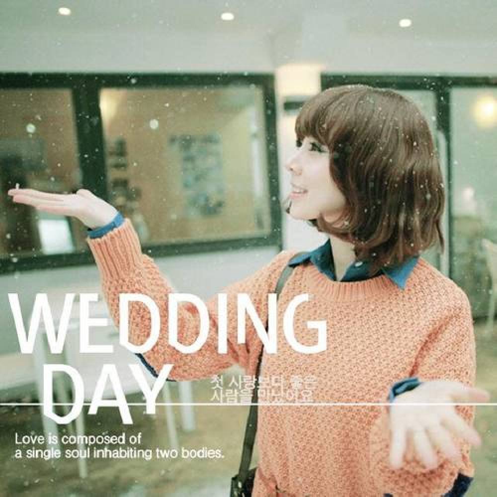 Wedding Day