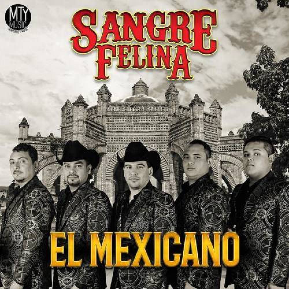 Sangre Felina