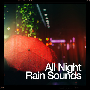 ดาวน์โหลดและฟังเพลง Night Rain พร้อมเนื้อเพลงจาก Rain Sounds