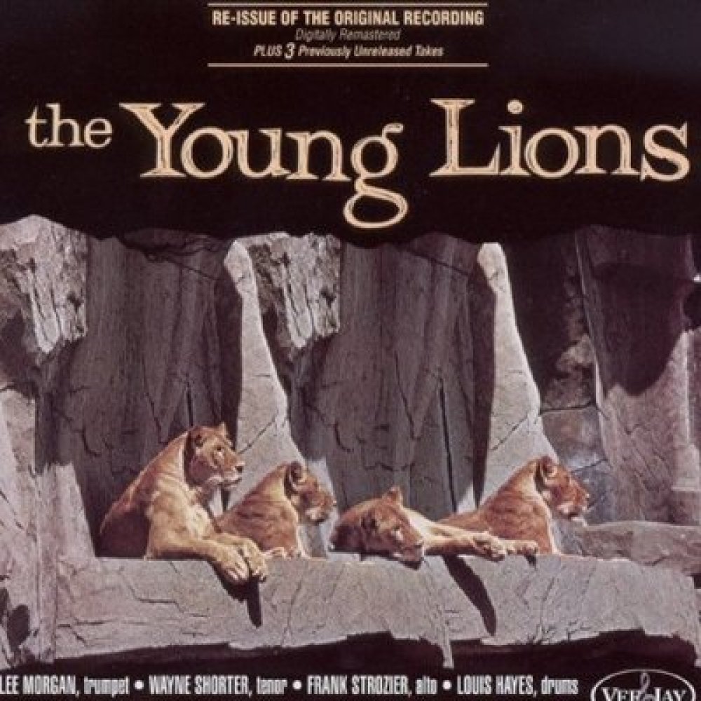 Young Lions