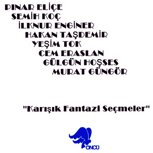 收聽Pınar Eliçe的Olur mu歌詞歌曲