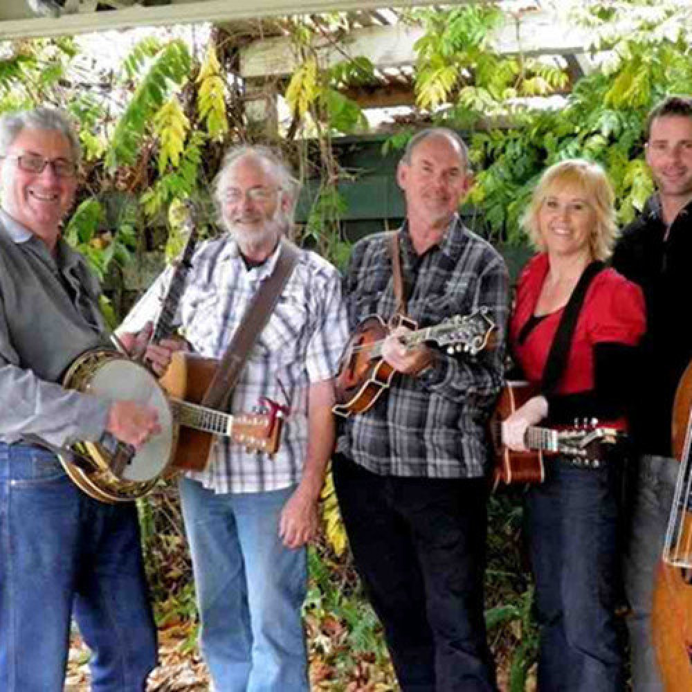 Hamilton County Bluegrass Band