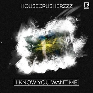 ดาวน์โหลดและฟังเพลง I Know You Want Me (Extended Mix) พร้อมเนื้อเพลงจาก HouseCrusherzzz