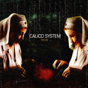 ดาวน์โหลดและฟังเพลง A Heap of Broken Images พร้อมเนื้อเพลงจาก Calico System