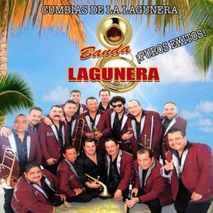 Banda Lagunera ดาวน์โหลดและฟังเพลงฮิตจาก Banda Lagunera