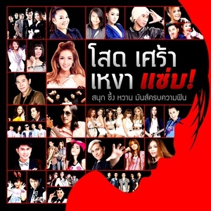 ดาวน์โหลดและฟังเพลง โสดเรื้อรัง พร้อมเนื้อเพลงจาก รวมศิลปิน (โสด เศร้า เหงา แซ่บ!)
