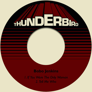 Bobo Jenkins的專輯If You Were the Only Woman