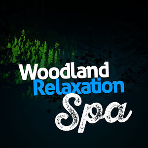 收聽Forest Sounds Relaxing Spa Music Singing Birds的Afternoon Bird Chorus歌詞歌曲