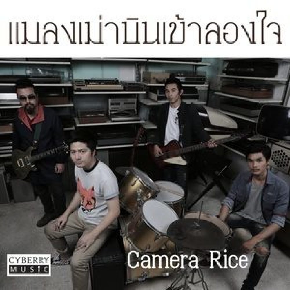 แมลงเม่าบินเข้าลองใจ