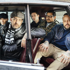 Street Dogs