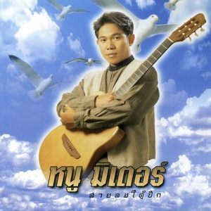 ดาวน์โหลดและฟังเพลง คิดถึงเหลือเกิน พร้อมเนื้อเพลงจาก หนู มิเตอร์